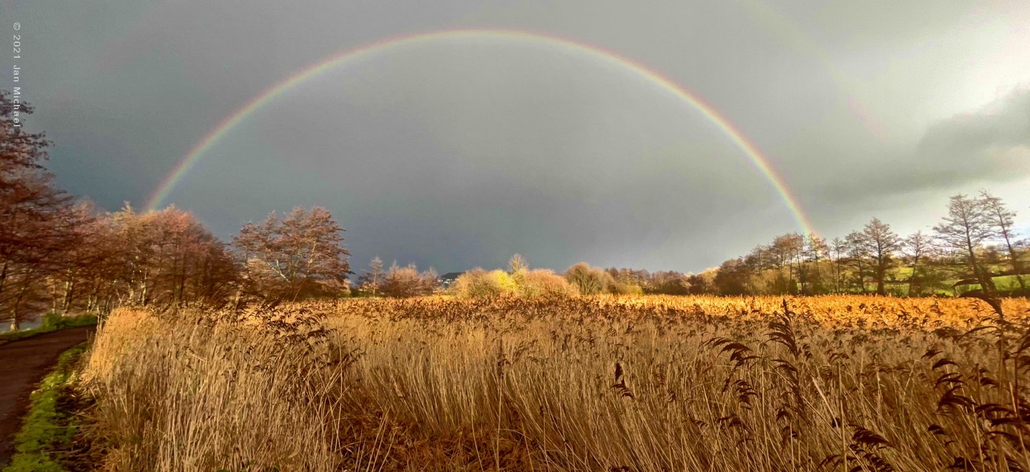 La réserve naturelle du marais de Villers-sur-Mer