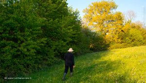 Dagmar Schütt, amatrice en herbes medicinales