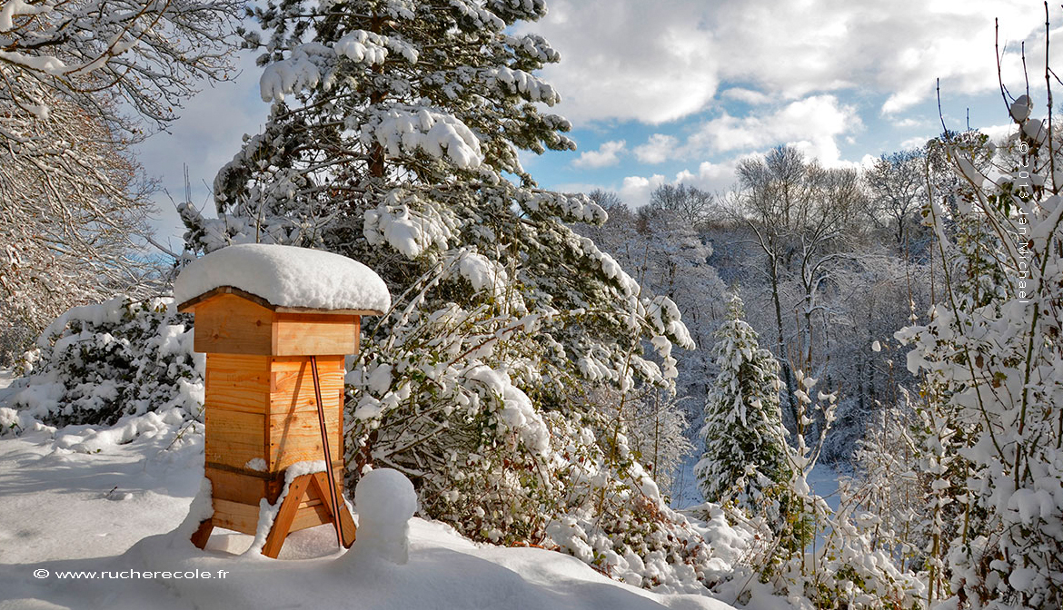 La Ruche Warré en hiver