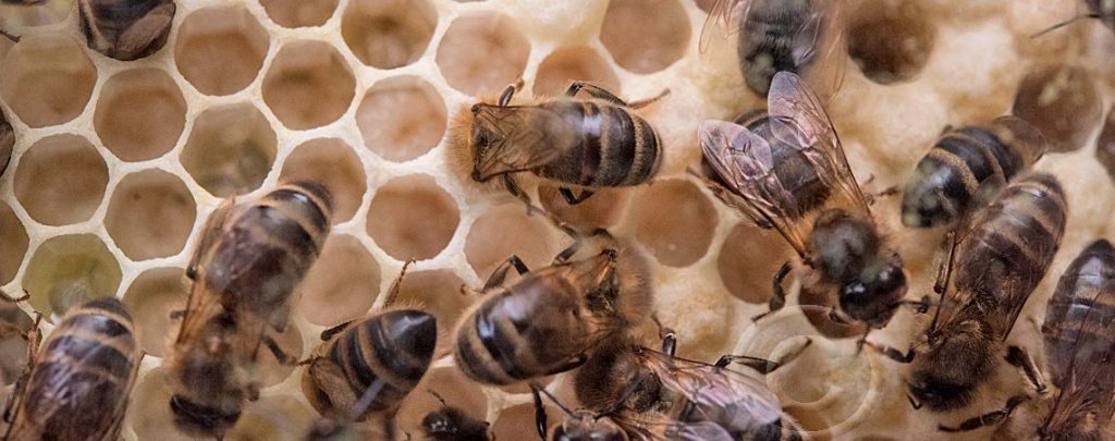 rayons -Vue à travers la vitre