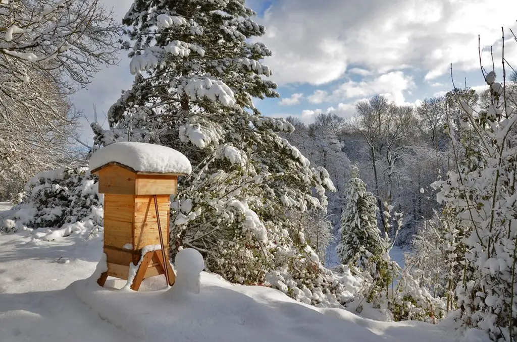 La ruche Warré en hiver