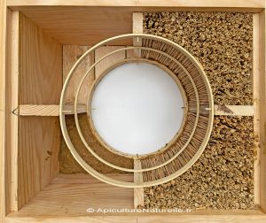 Construction ruche beetower