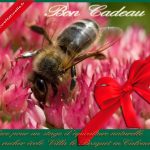 Bon de cadeau-rucher école Villa le Bosquet