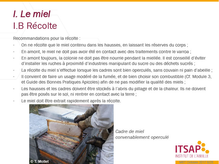 miel recolte