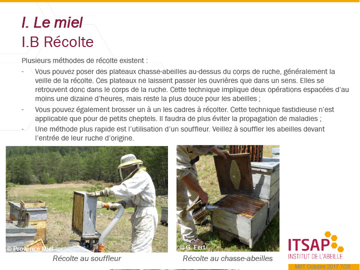 le miel