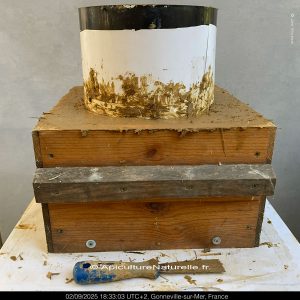 Warré en argile