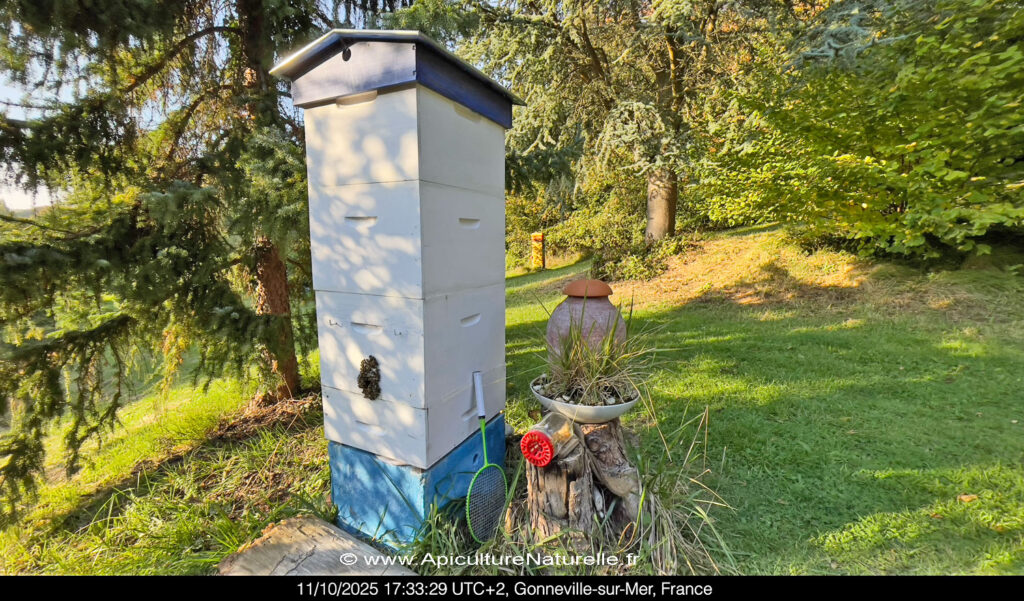 beetower rucher école Villa le Bosquet