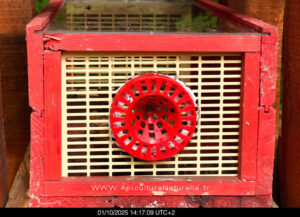 nouvelle-piege-frelon-asiatique