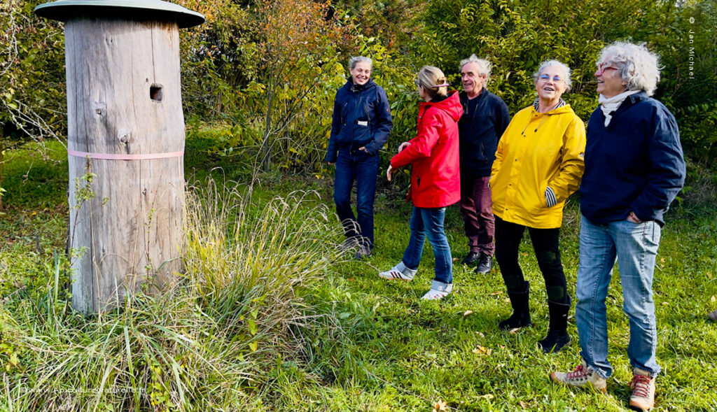 ruche tronc-stage apiculture naturelle