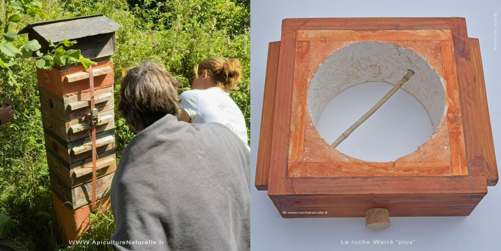 ruche Warré