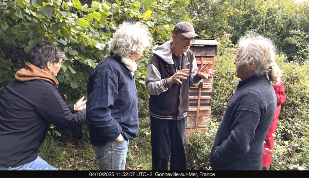 ruche Warré stage en apiculture naturelle