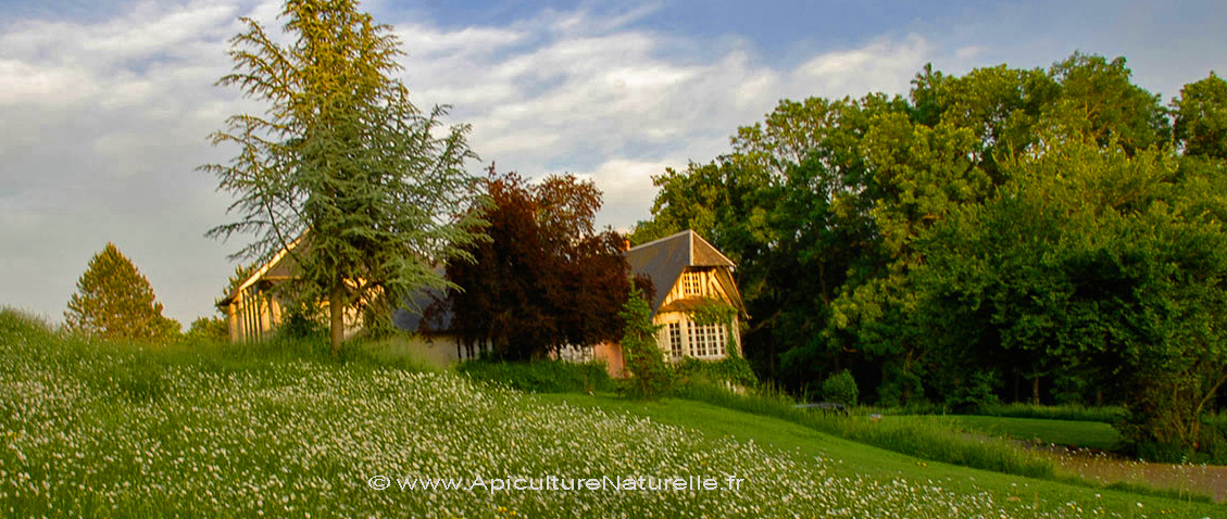 La Villa le Bosquet, centre de formation en apiculture naturelle