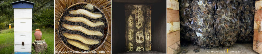 La ruche Beetower en detail