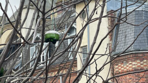 Piège sélectif à frelons au centre de Villers-sur-Mer