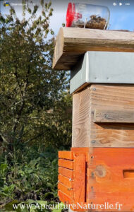 Ce bouclier protecteur contre la Frelon Asiatique