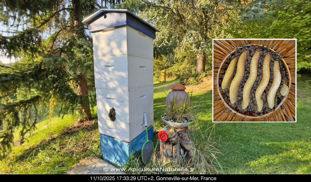 La ruche de Biodiversité " BeeTower"
