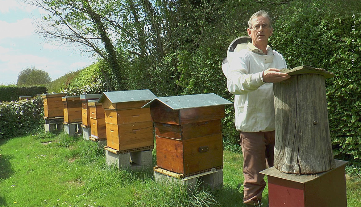 jaques hue ruche-Cevennes
