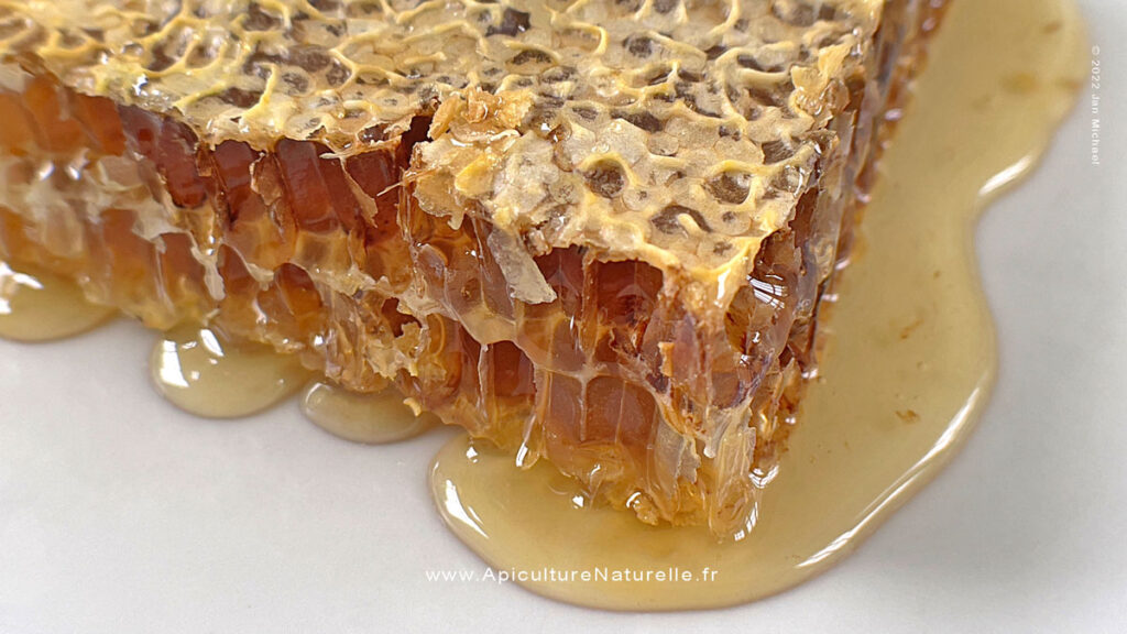 Miel naturel en rayons