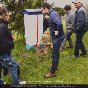 Le stage en apiculture naturelle
