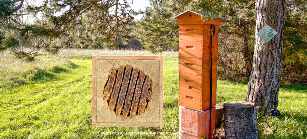 Warré BeeTower argile