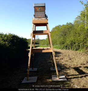 piège ruche Warré