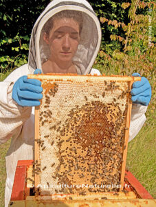 cadre ruche Mellifera