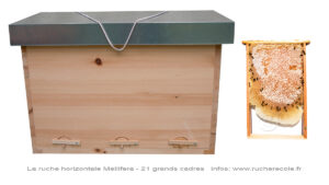 la ruche mellifera