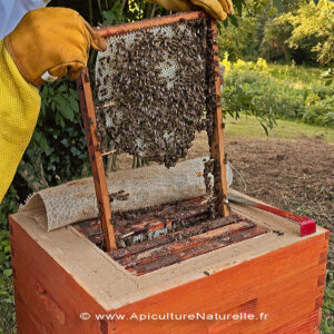 cadre ruche Mellifera