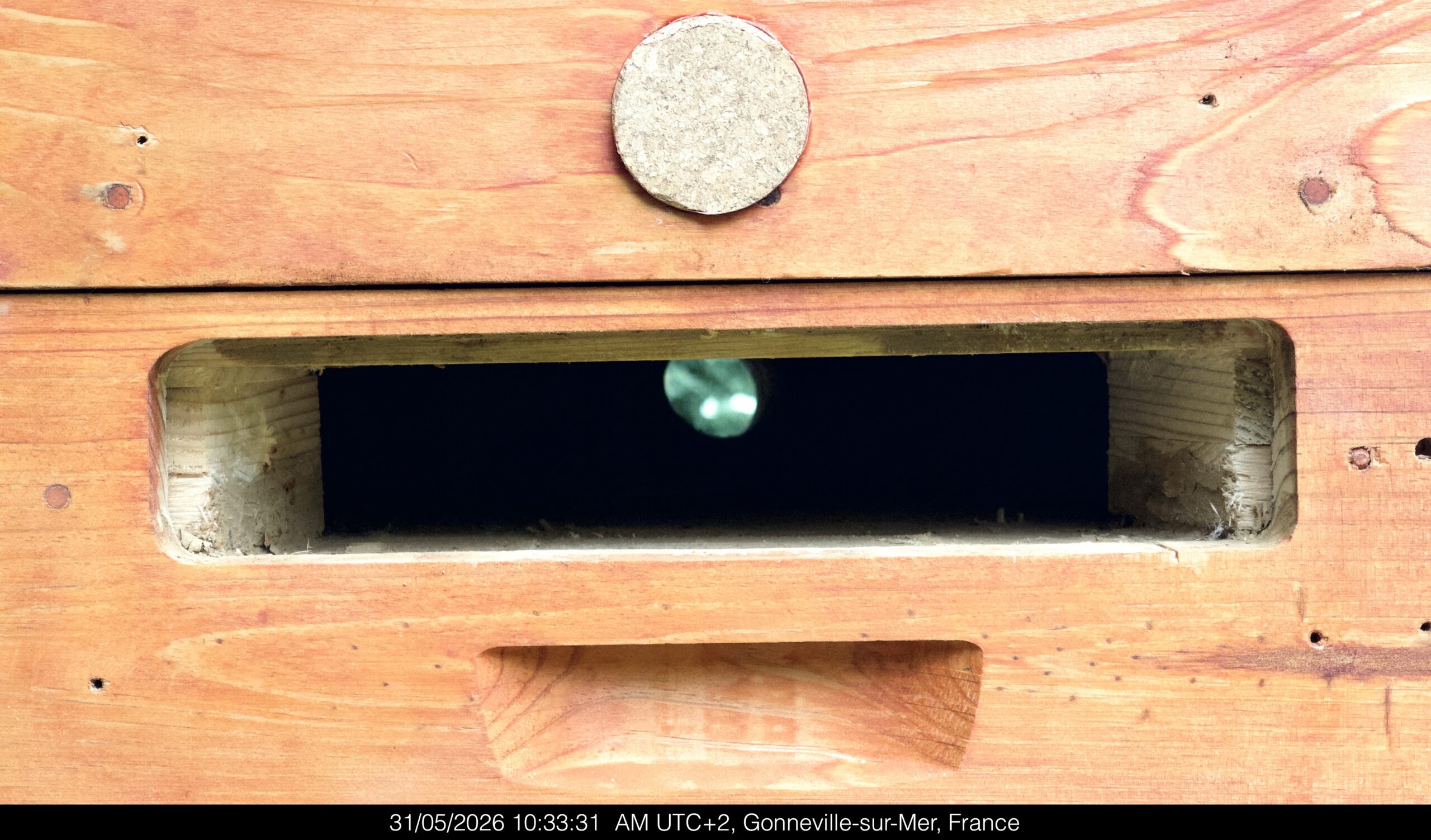 Porte d'inspection pour ruche Mellifera.