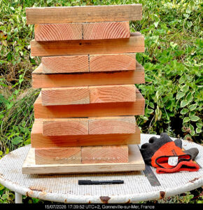 planches en bois douglas
