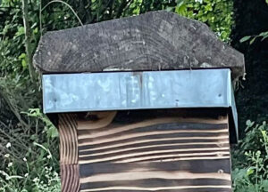 toit plat ruche mellifera-Warré