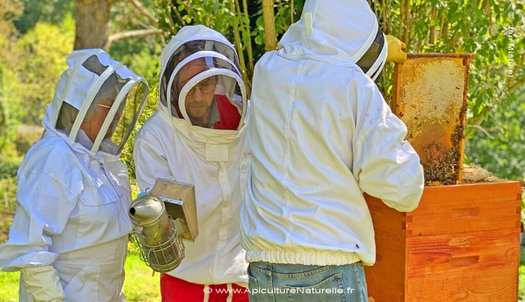 stage en apiculture naturelle
